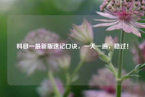 科目一最新版速记口诀，一天一遍，稳过！