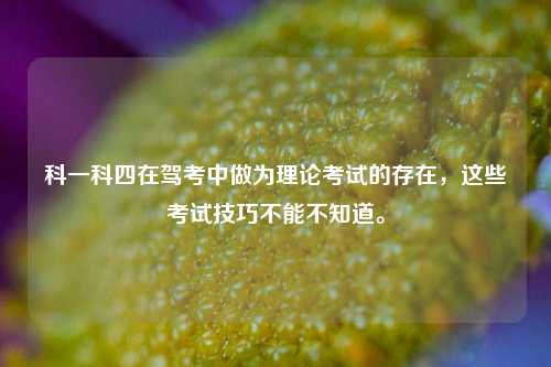 科一科四在驾考中做为理论考试的存在，这些考试技巧不能不知道。