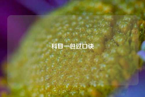 科目一包过口诀