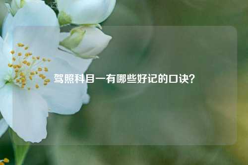 驾照科目一有哪些好记的口诀？